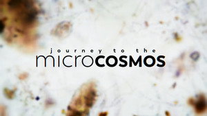 Journey to the Microcosmos kép