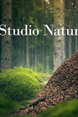 Studio Natur poszter