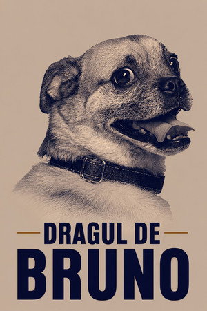 It's Bruno! poszter