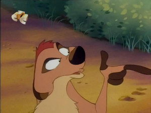 Timon és Pumba a Föld körül 1. évad Ep.24 Rafiki tanmeséi: Múló hullócsillag