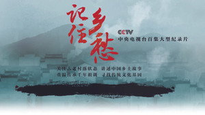 记住乡愁 kép