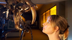 Ice Age Giants kép