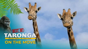 Taronga: Who's Who in the Zoo Speciális epizódok Ep.2 2. epizód