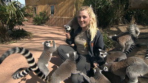 Une saison au zoo 2. évad Ep.28 28. epizód