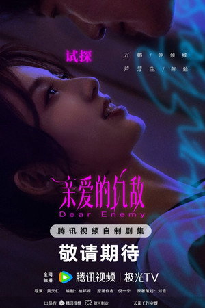 亲爱的仇敌 poszter