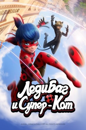 Miraculous Katicabogár és Fekete Macska kalandjai poszter