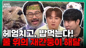 브레인 아카데미 1. évad Ep.9 9. epizód