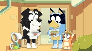 Bluey 3. évad Ep.9 Küldetés
