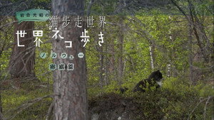 岩合光昭の世界ネコ歩き 1. évad Ep.21 21. epizód