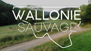 Wallonie sauvage kép