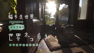 岩合光昭の世界ネコ歩き 1. évad Ep.54 54. epizód