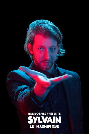 Sylvain le magnifique poszter