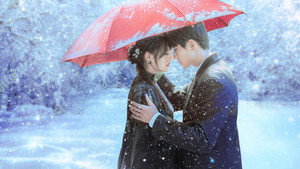 半城风月半城雪 kép