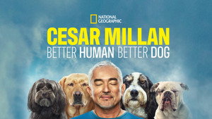 Cesar Millan: Jó gazdi, jó kutya kép