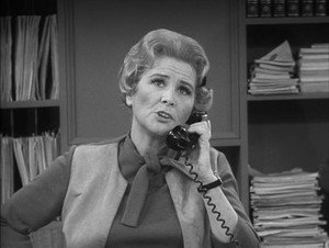 The Dick Van Dyke Show 5. évad Ep.21 21. epizód