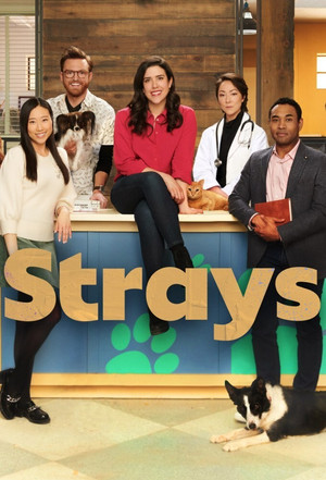 Strays poszter