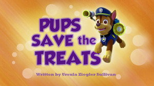 PAW Patrol 1. évad Ep.9 9. epizód