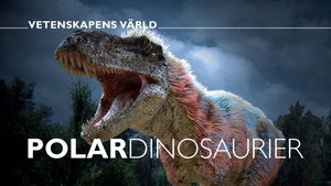 Vetenskapens värld 50. évad Ep.1 1. epizód