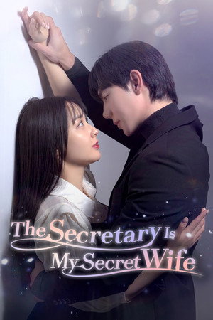 비서할래 와이프할래? poszter