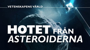 Vetenskapens värld 50. évad Ep.17 17. epizód