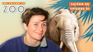 Une saison au zoo 8. évad Ep.1 1. epizód
