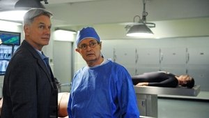 NCIS: Tengerészeti helyszínelők 9. évad Ep.15 Titkok