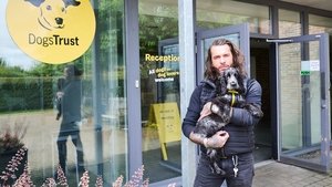 Pete Wicks: For Dogs’ Sake 1. évad Ep.4 4. epizód
