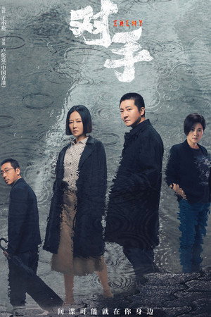 对手 poszter
