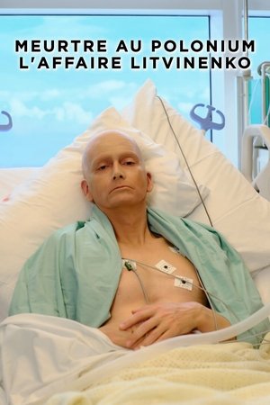 Litvinenko poszter