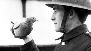 Histoires de Guerre 2. évad Ep.3 3. epizód