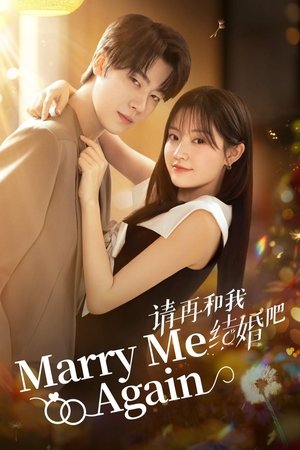 请再和我结婚吧 poszter