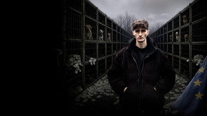 How to kill a puppy and get rich - Die Hunde Mafia kép