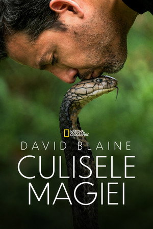 Ezt ne próbáld ki! - Halálos mutatványok David Blaine-nel poszter