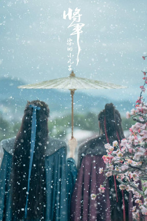 将军家的小儿子 poszter