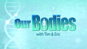 Our Bodies kép