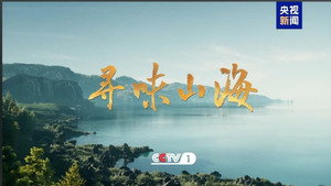 寻味山海 kép