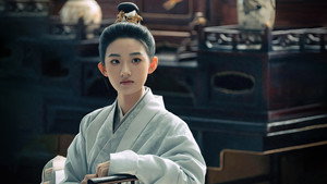 藏海传 kép