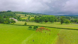 Countryfile 33. évad Ep.29 29. epizód