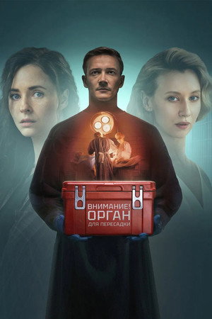 Хирург poszter