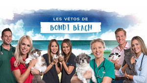 Bondi Vet: Coast to Coast kép