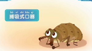 斑马百科 1. évad Ep.5 5. epizód