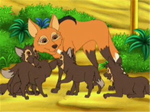 Go, Diego, Go! 1. évad Ep.18 18. epizód