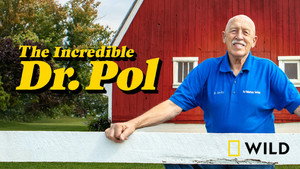 Dr. Pol állatklinikája kép