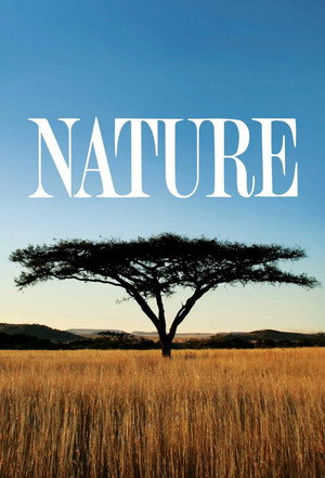 Nature poszter