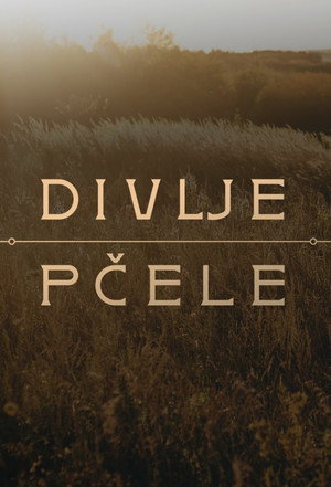Divlje pčele poszter