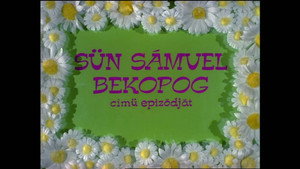 Mirr Murr a kandúr 3.évad Ep.9 Sün Sámuel bekopog