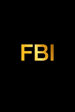 FBI: New York különleges ügynökei poszter