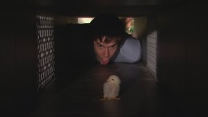 iCarly 1. évad Ep.16 16. epizód