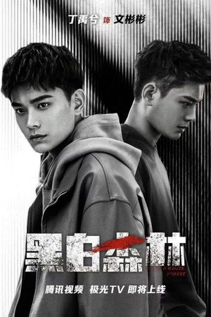 黑白森林 poszter