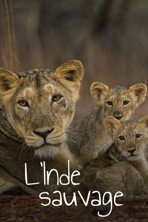 Destination Wild: India 1. évad (2024-09-23) poszter
